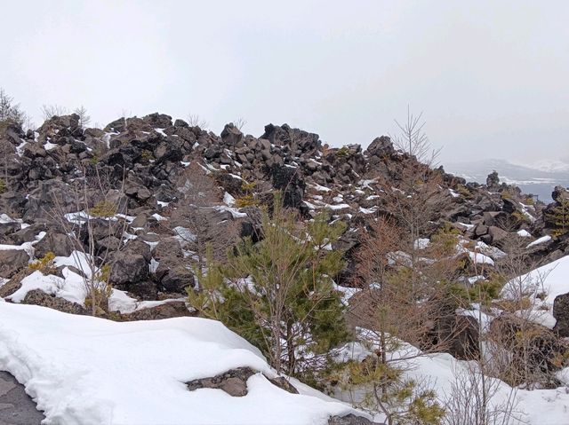 3月日本自由行 景点篇 鬼押出火山岩石公園