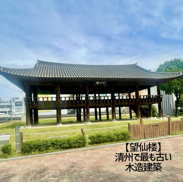 【清州】ソウルからサクッと日帰り旅❗️清州中央公園と周辺グルメ　