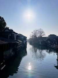 Morning Serenity in Wuzhen ☀️🌿 | A Slow Summer Day with Early Tea 🍵🌸
