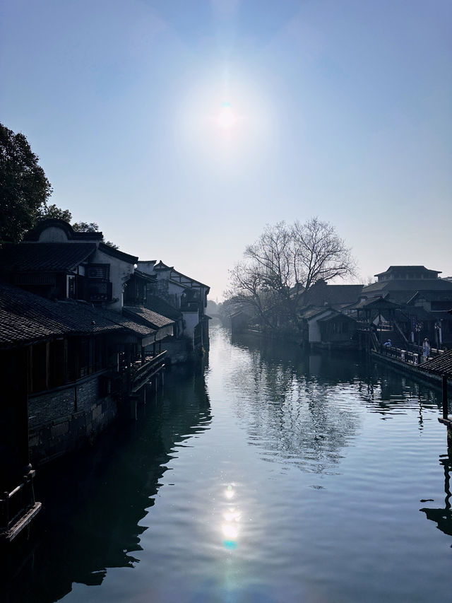 Morning Serenity in Wuzhen ☀️🌿 | A Slow Summer Day with Early Tea 🍵🌸