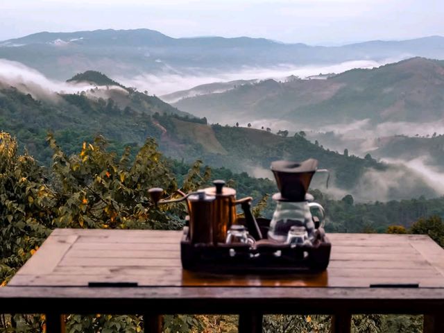 🍃Sakad Coffee”ด อ ย ส ก า ด” ⛰🌿