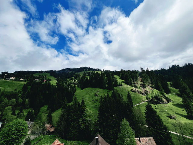 Rigi by Rail – A Peaceful Ascent with Epic Views