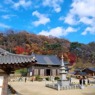 Chillin' at Jikjisa in Gimcheon