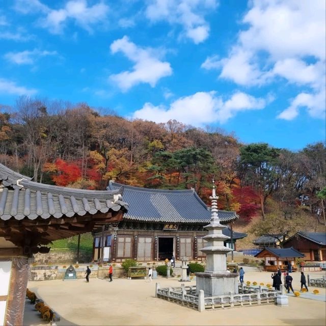 Chillin' at Jikjisa in Gimcheon
