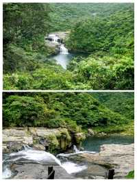 西表島の大自然