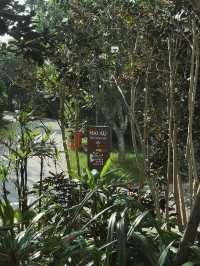 Ninh Thuận 2025