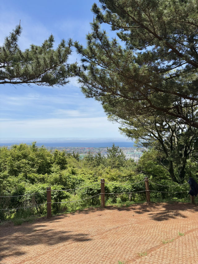 제주 간다면, 한라산을 가장 가까이에서 볼 수 있는 곳