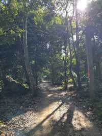 Party or Peace? Find Both on Koh Rong