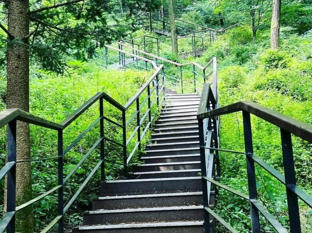 Hike with Big Peace in Cheorwon