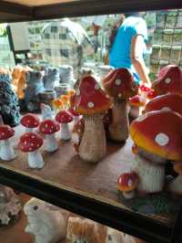 Desaru’s Budget Café Surprise: Sip & Stroll Through Nature