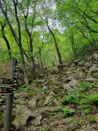 Temple Trails and Peaceful Peaks