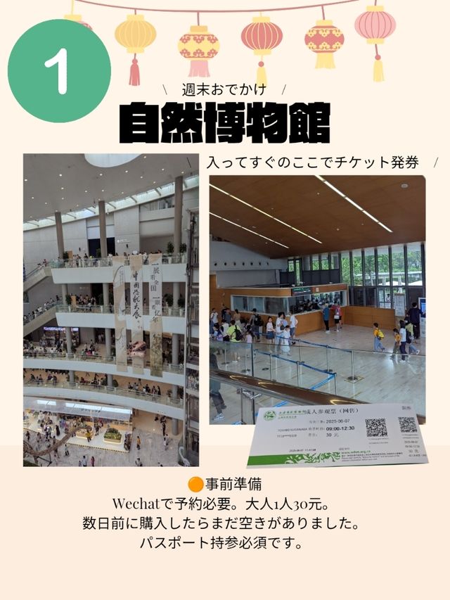 🇨🇳超巨大！自然博物館へ