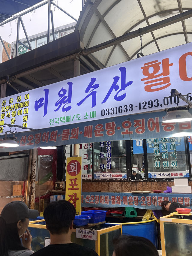 강릉, 속초 1박 2일 여행🩵💙🤍