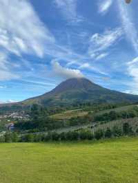 "Wander Medan: Where Every Path Tells a Story"