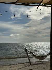 White House Beach Café & Restaurant จ.ชลบุรี
