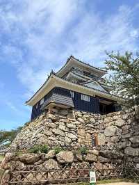 🏯☀️ Summer Weekend in Hamamatsu: Castle, Music & Eel Delights