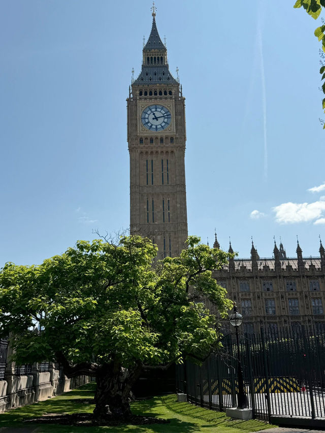 憧れのビッグ・ベン、ついに来ました！⏰🇬🇧 #ロンドン旅 #夢の景色