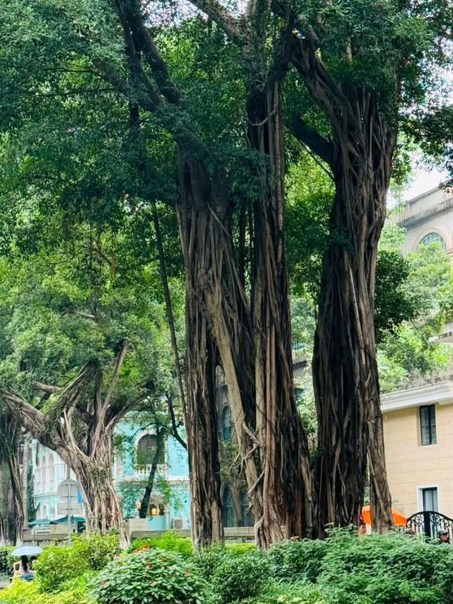 🇨🇳🎁 Onelink Plaza Guangzhou: The Souvenir Jungle Awaits! 🛍️