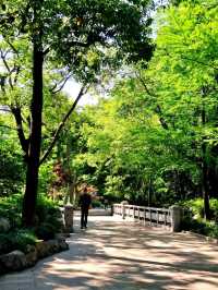 Fuxing Park Shanghai