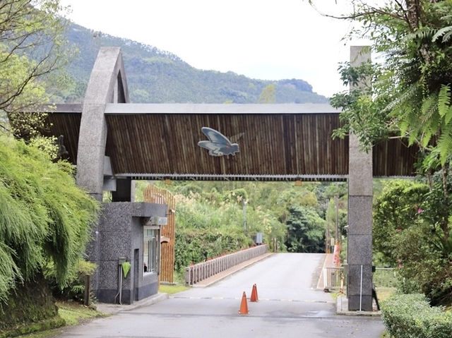 森林遊樂園區系列 PART1️⃣4️⃣