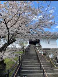 🏯戦国ロマンと絶景が交差する「小田原城」で歴史旅を満喫