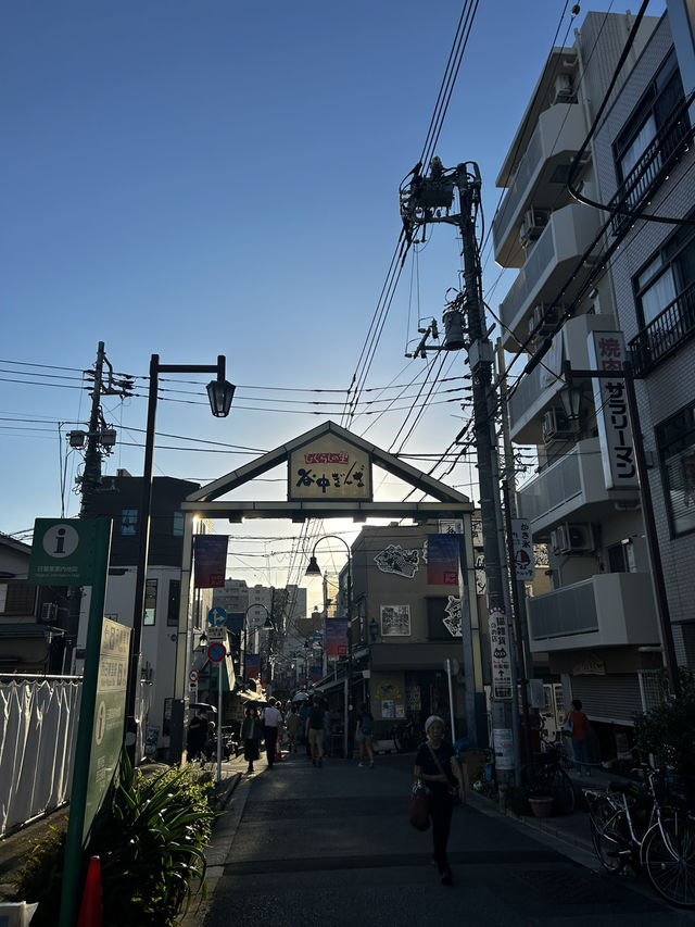 다양한 곳애서 본 도쿄타워와 스미다강