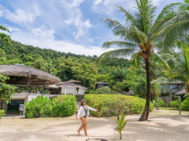 รีสอร์ทหรูบ้านต้นไม้ ได้ฟีลบาหลี TreeHouse Villas