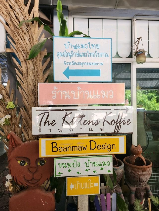 ศูนย์อนุรักษ์แมวไทยโบราณ