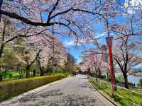 สวนทะคะมัตสึ (Takamatsu Pond Park / 高松の池) 