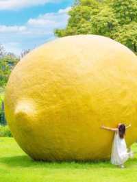佛山大檸檬🍋順鋒山公園，$0 打卡熱點