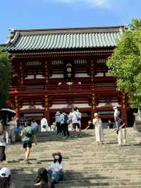 🌸⛩️ 3D2N Mt. Fuji, Hakone & Kamakura Scenic Escape! 🗻🚞✨