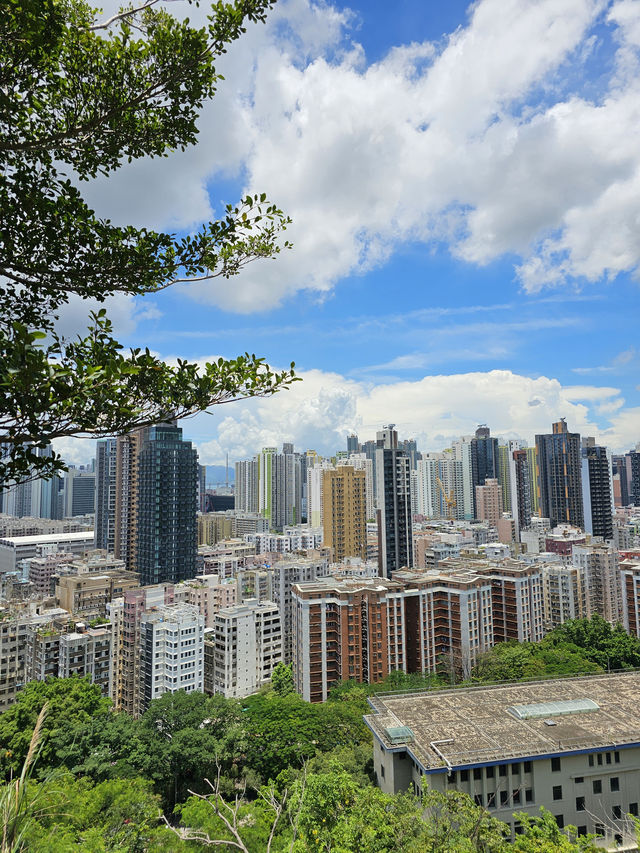 🏔️ GARDEN HILL SHAM SHUI PO: Hidden Gem with Million-Dollar Views! 🌆✨
