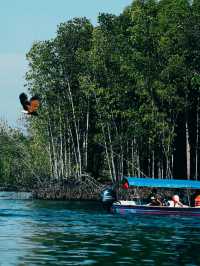 Langkawi Mangrove Tour – Nature, Eagles & Jungle Vibes! 🌿🦅