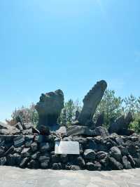 鹿児島3日間|初めて行く鹿児島の初心者攻略