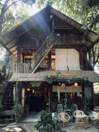 PEMA Cafe - Chiangmai คาเฟ่ไม้ตกแต่งสไตล์ล้านนา