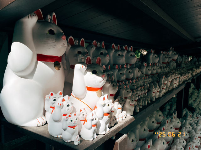 高cp值東京行程分享-day3