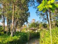 The secret waterfall inside Bamboo grove
