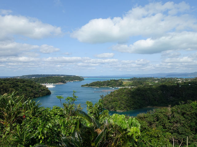 🍔 Rikarikawarumi Café Stop: Burgers, Bridges & Breathtaking Views
