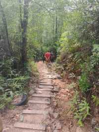 ⛰️ Conquer Nature at Kledang Hill Trail Head, Ipoh! 🌿