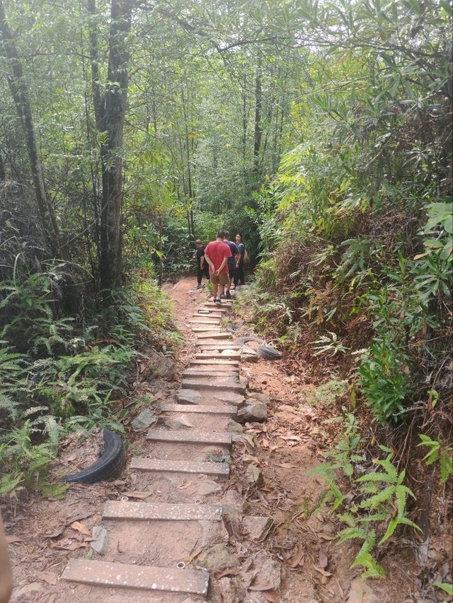 ⛰️ Conquer Nature at Kledang Hill Trail Head, Ipoh! 🌿