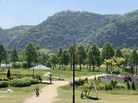 🌸 울산 태화강국가정원, 꽃길 따라 자전거 타는 하루