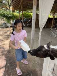 ปานขัวญ แดรี่ฟาร์ม 