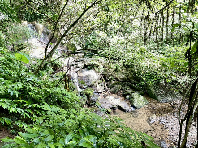 烏來西坑林道～好走又人少；夏天玩水的小秘境