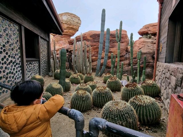 Pixar, Parades & Pure Joy: Adventure Park with My Mini Sidekick