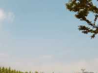 Daebu Bada Hyanggi Theme Park, Gyeonggi Province: A Vast Coastal Oasis for Relaxation and Recreation