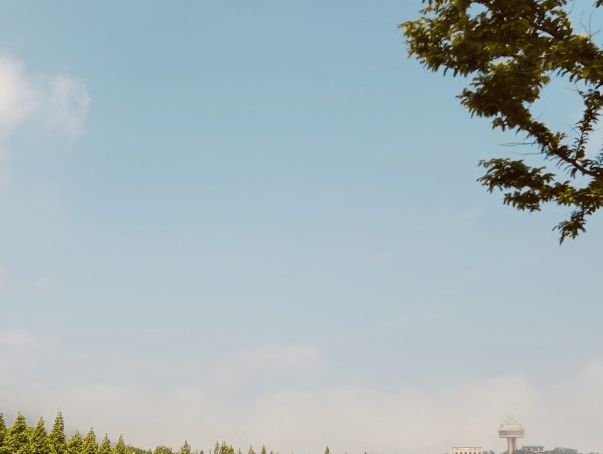 Daebu Bada Hyanggi Theme Park, Gyeonggi Province: A Vast Coastal Oasis for Relaxation and Recreation