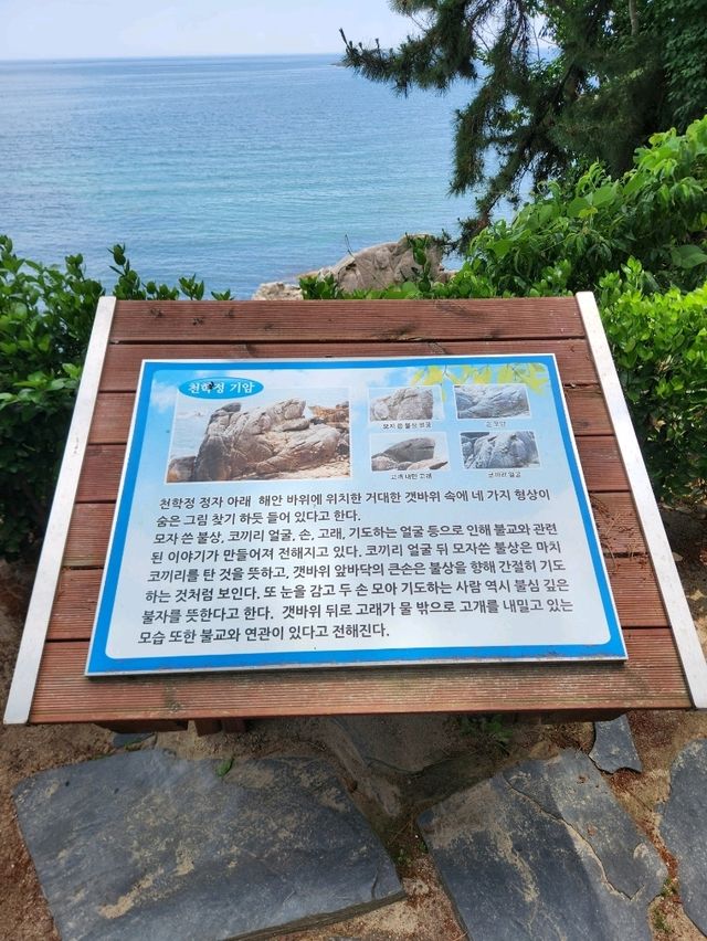 🤍강원도 고성여행, 해안 절경이 아름다운 "천학정"🤍
