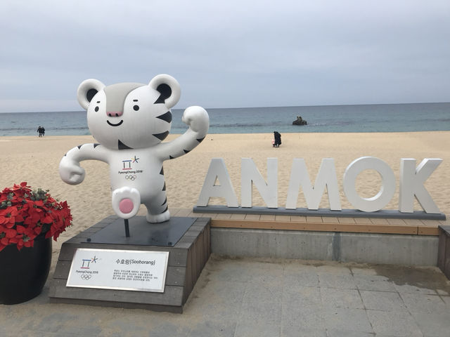 รีวิว Anmok Beach 🏖️☕