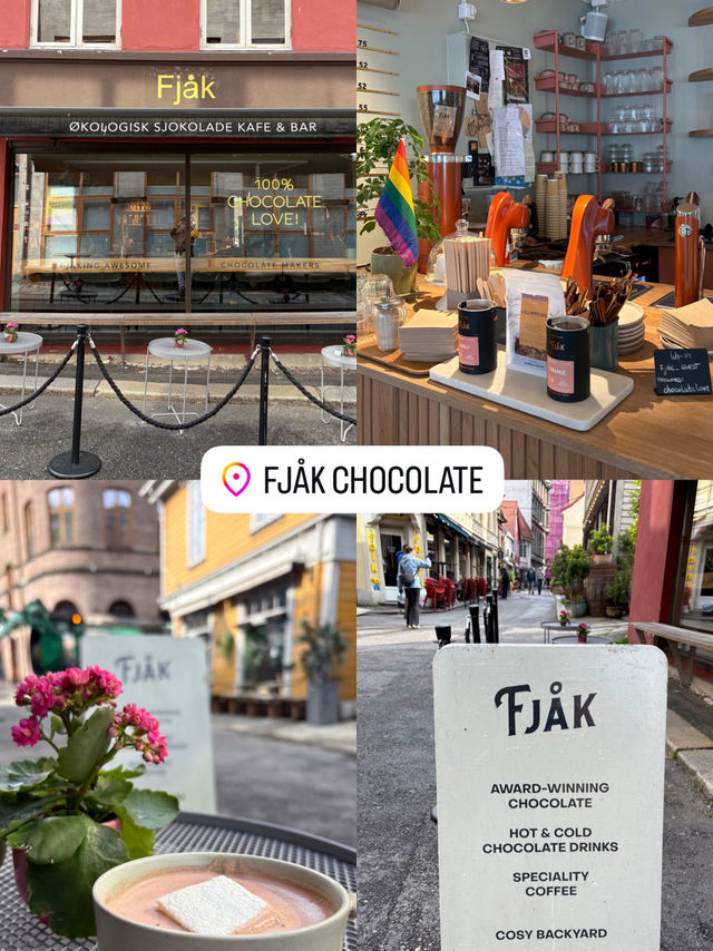 Bergen City Walk & Fjord Cruise – A Perfect Norwegian Day