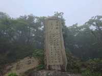 三重山頂秘境！絕美公園四季皆風景！